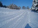 Perfekte Spuren bei herrlichem Winterwetter