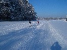 Loipe zwischen Skilift Berger Höhe und Haid