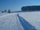 Perfekte Langlaufbedingungen bei Nieratz (Nieratzer Runde)