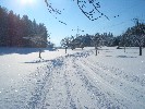 Durch die Streuobstwiese bei Sailers (Nieratzer Runde, Große Runde)