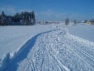 Winterlandschaft bei Niederwangen (Große Runde)