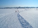 Extrabreite Skatingloipe bei Niederwangen (Große Runde, Flutlichtloipe Niederwangen)