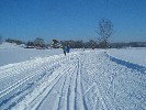 Loipe von der Berger Höhe Richtung Niederwangen (Große Runde, Rund um Berg)