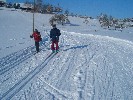 Loipe von der Berger Höhe Richtung Niederwangen (Große Runde, Rund um Berg)